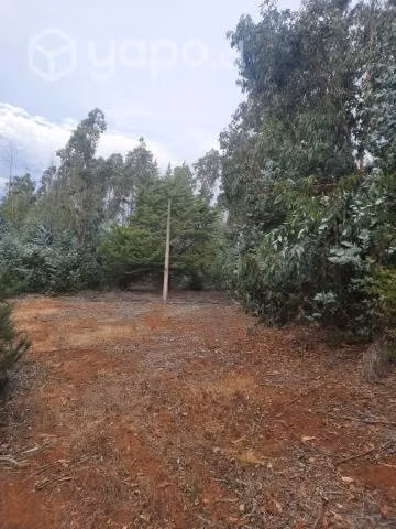Terreno de 16 hectareas con 84 areas