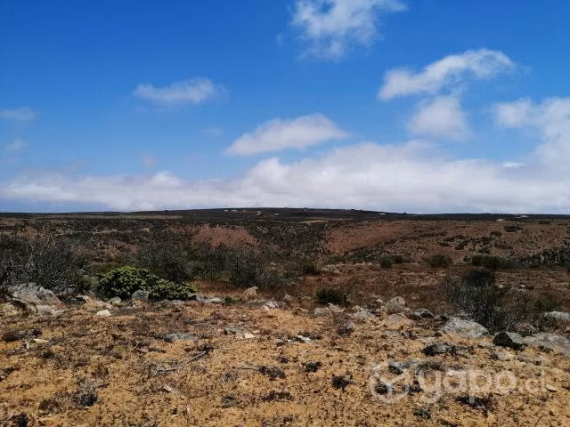 Parcela enTalinay 1/2 ha (Sector Termas Socos)