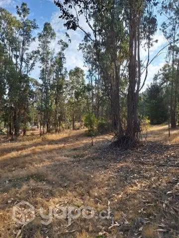 Hermosa Parcela en Peralillo