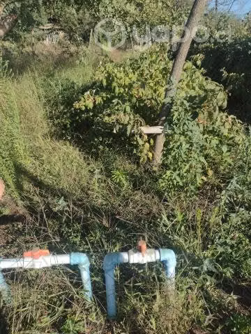 Hermosa Parcela Productiva