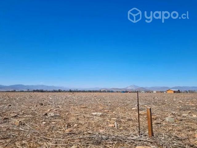 Terreno 5.000 m2, Campo Lindo, Ovalle - Imagen 9