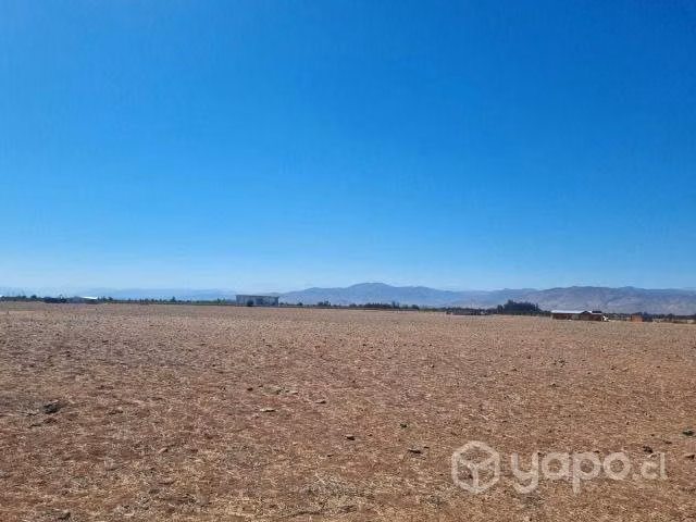 Terreno 5.000 m2, Campo Lindo, Ovalle - Imagen 8