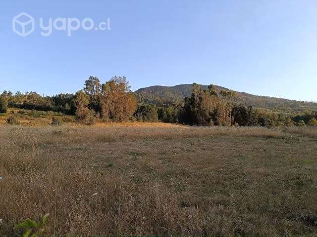 Campo 3,15 hectáreas