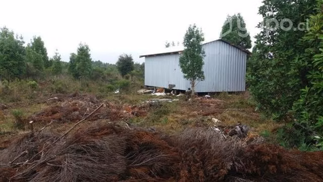 Parcela de 5.000 mt2, con pequeña casa