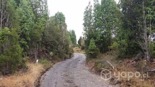 Parcela de 5.000 mt2, con pequeña casa