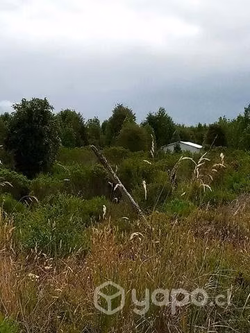 Parcela de 5.000 mt2, con pequeña casa
