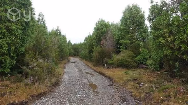 Parcela de 5.000 mt2, con pequeña casa