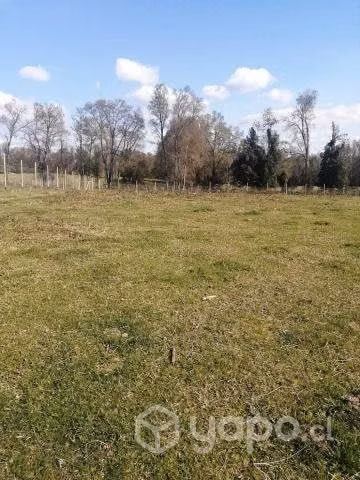 Vendo parcela entre Villarrica y Pucon