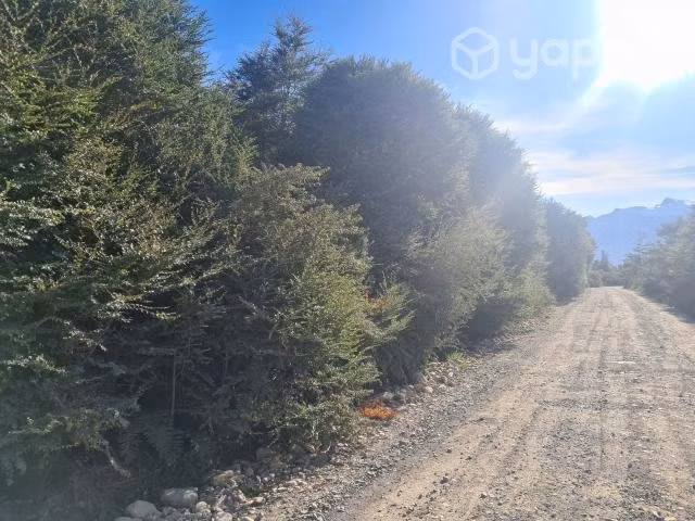 Vende parcela en sector rio alvarez comuna aysen