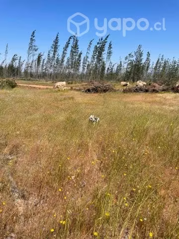 Increíble Oportunidad en Oasis de Litueche