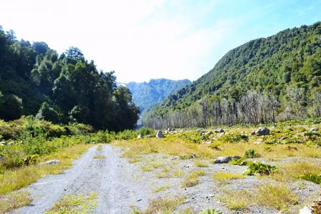 Vendo Parcela de 5000m2 en Puerto Montt