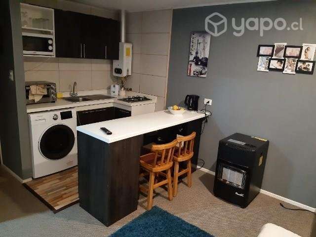 Arriendo Departamento Cabaña - Imagen 3