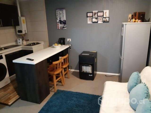 Arriendo Departamento Cabaña - Imagen 2