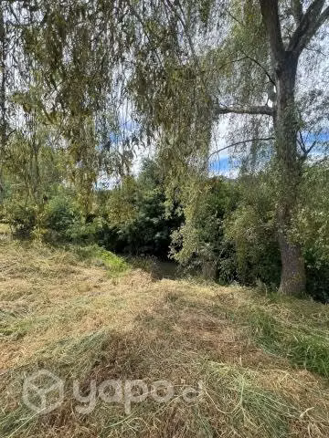 Terreno plano con agua en buchupureo