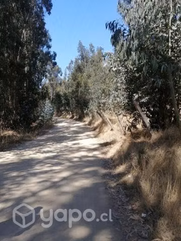 Vendo terreno de 1250 mt2, San Juan de Llolleo
