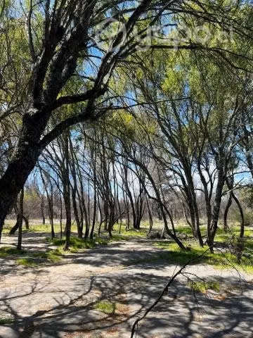 Se vende Parcela de 5000mt2 Sector el Roble, Panga