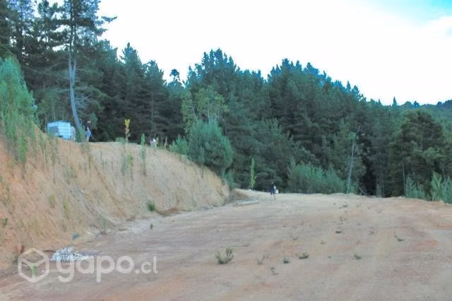 Parcela - Concepción
