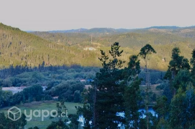 Parcela - Concepción