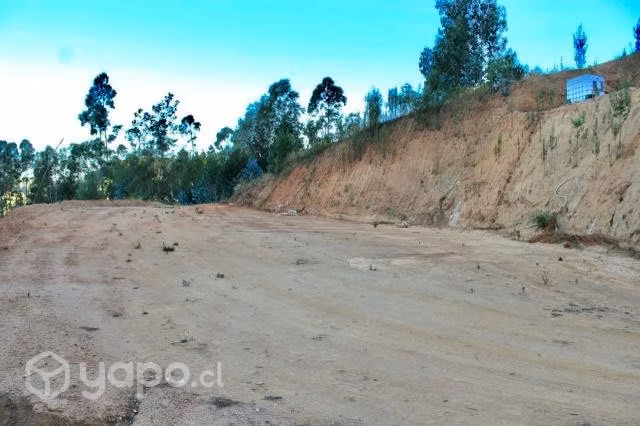 Parcela - Concepción