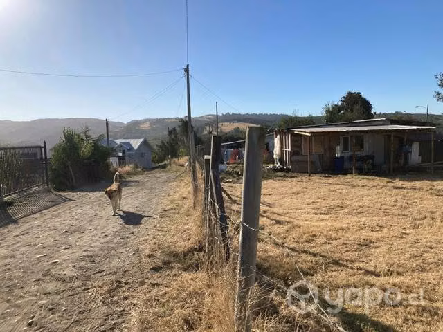 Sitio en Castro, Chiloe - Imagen 9
