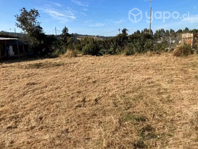 Sitio en Castro, Chiloe - Imagen 3