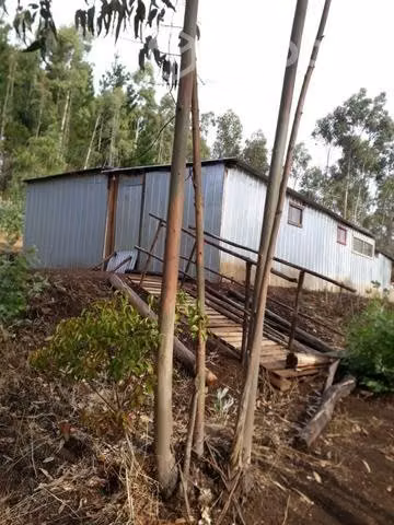 Se vende terreno en zona rural en Cholchol