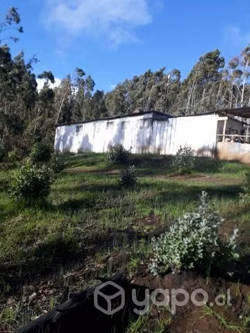 Se vende terreno en zona rural en Cholchol
