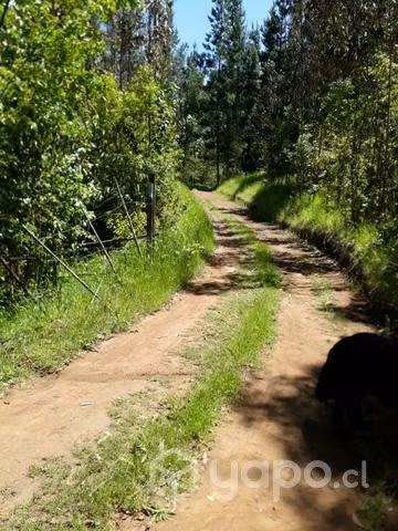 Se vende terreno en zona rural en Cholchol