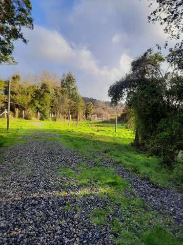 Parcela con casa, tinaja, estero,bosque de copihue - Imagen 12