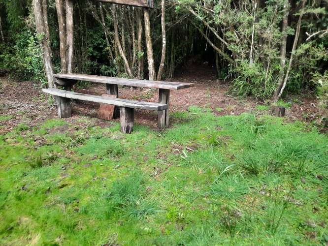 Parcela con casa, tinaja, estero,bosque de copihue - Imagen 10