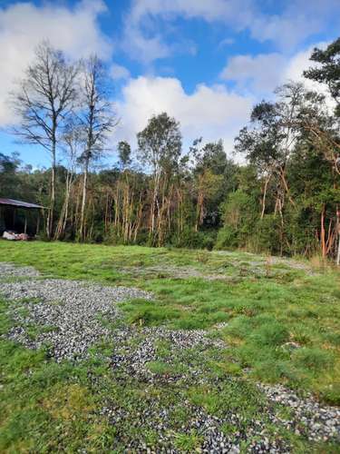 Parcela con casa, tinaja, estero,bosque de copihue - Imagen 11