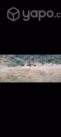 Parcela - Imagen 7