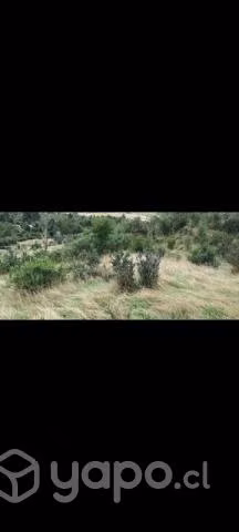 Parcela - Imagen 8