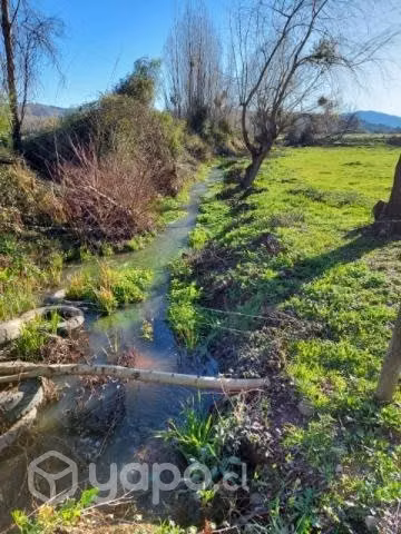 Parcela en maule - Imagen 4