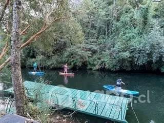 Parcela a 12 minutos de Valdivia - Imagen 3