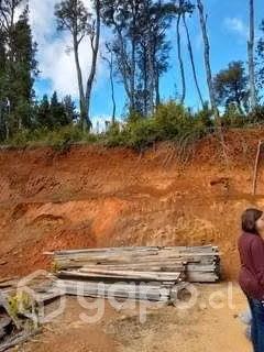 Parcela a 12 minutos de Valdivia - Imagen 9