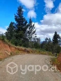 Parcela a 12 minutos de Valdivia - Imagen 7
