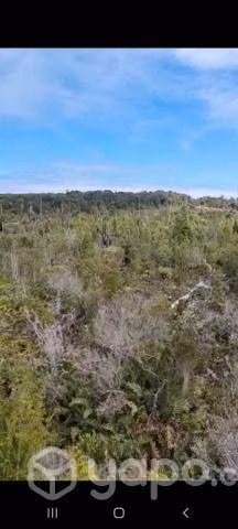 Terreno, Parcela B37 Los Muermos Región De Los Lagos - Imagen 10