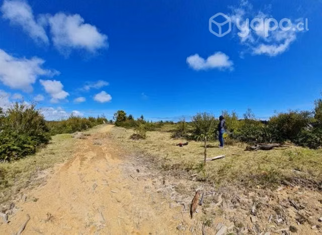 Terreno, Parcela B37 Los Muermos Región De Los Lagos - Imagen 7