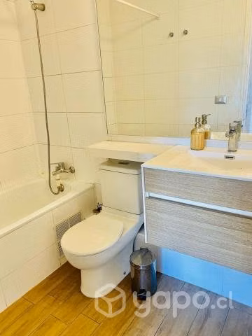 Arriendo lindo departamento 1D 1B Ñuñoa