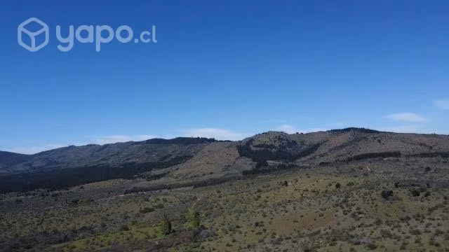 Se venden 109 hectareas en hualve cauquenes