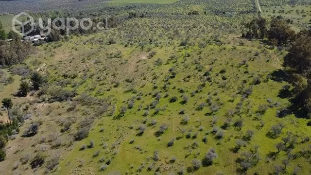 Se venden 109 hectareas en hualve cauquenes