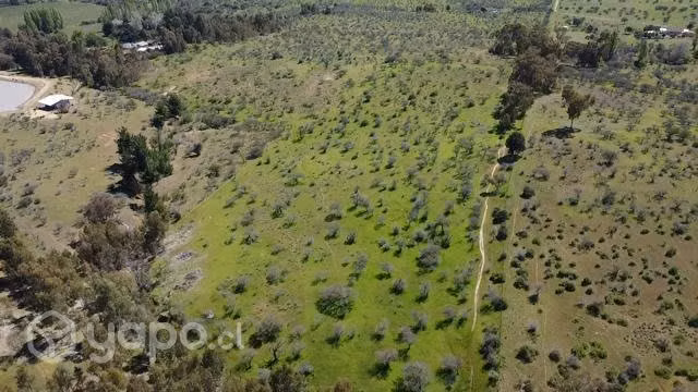 Se venden 109 hectareas en hualve cauquenes