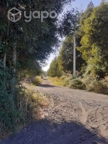 Venta de parcela, en sector la colonia