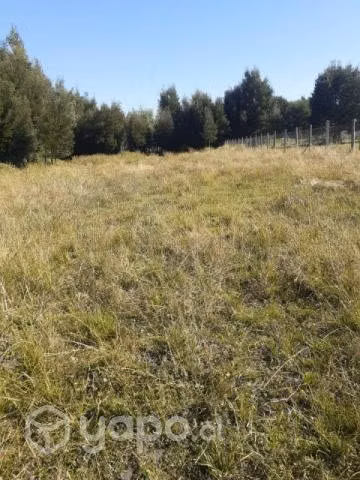 Venta de parcela, en sector la colonia
