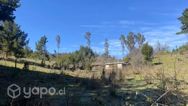 Parcela Cancha los Monteros 4.5 hectárea - Imagen 4