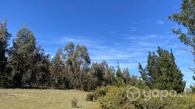 Parcela Cancha los Monteros 4.5 hectárea - Imagen 3
