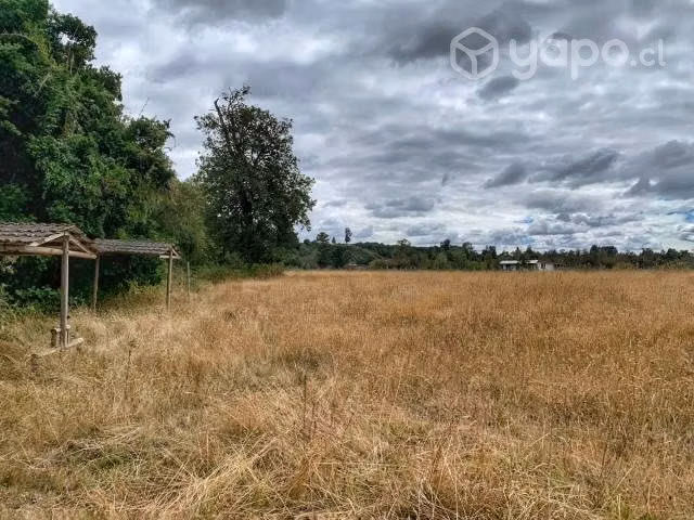 Parcela en Río Bueno