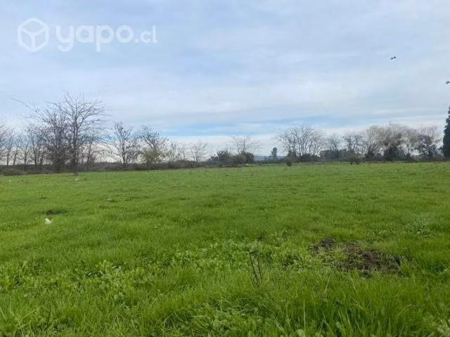 Parcela 5000 m2 con Rol a 10 min. de Talca - Imagen 7