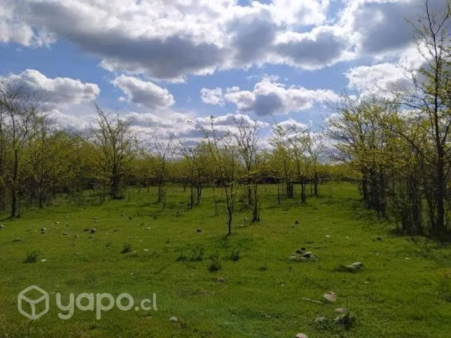 Parcela 5000 m2 con Rol a 10 min. de Talca